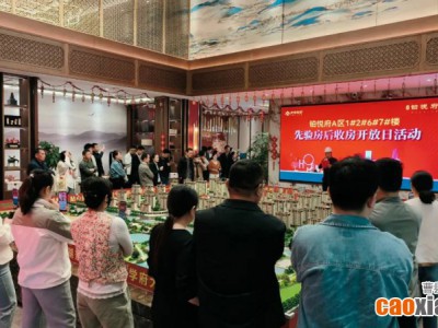 中用·鉑悅府 |A區(qū)1#2#6#7#樓先驗(yàn)房 后收房 業(yè)主開(kāi)放日活動(dòng)圓滿落幕