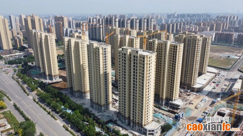 微信圖片_20250518181832